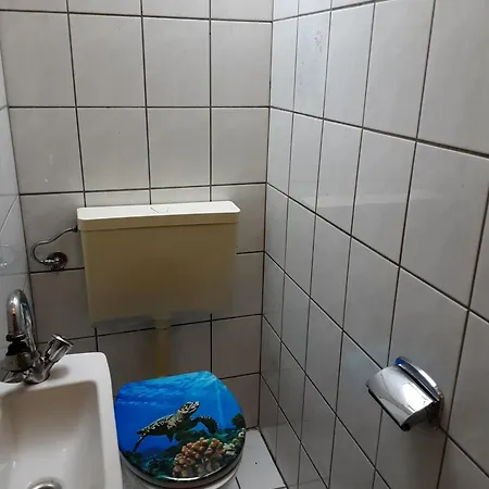 Laubwald *