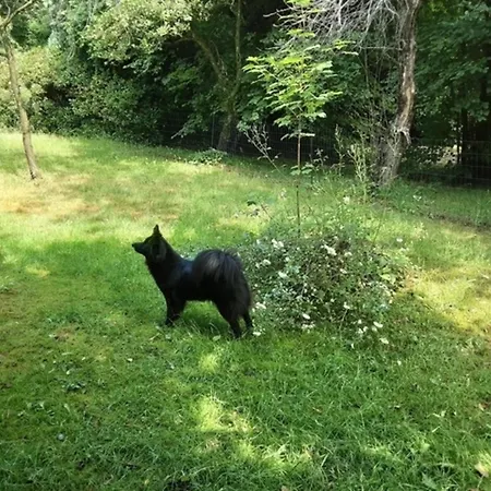 Laubwald Apartamento Sögel